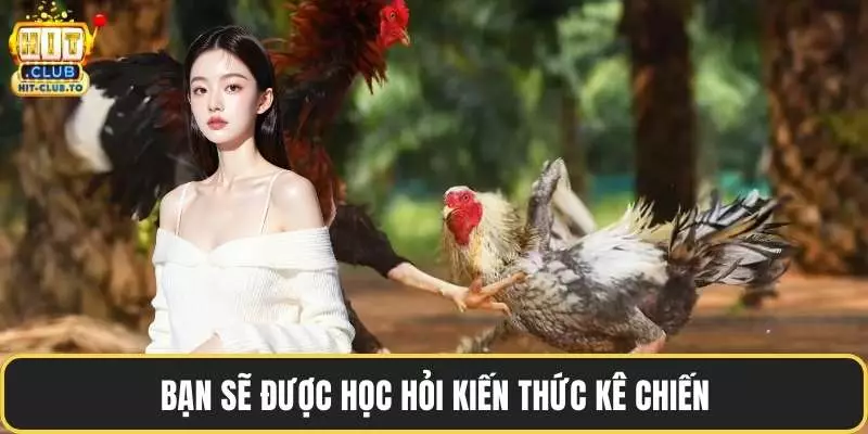Bạn sẽ được học hỏi kiến thức kê chiến